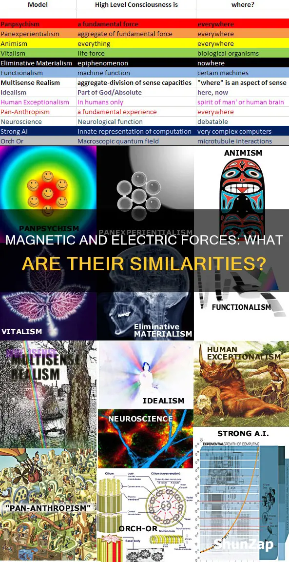 how is magnetic force like electric force