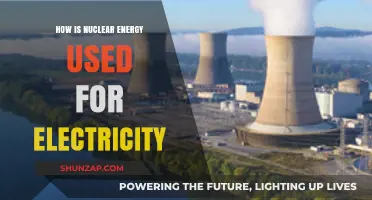 Harnessing Nuclear Power: How Reactors Generate Electricity Efficiently