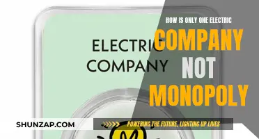 Electric Company Monopoly: Avoiding the Single-Provider Trap