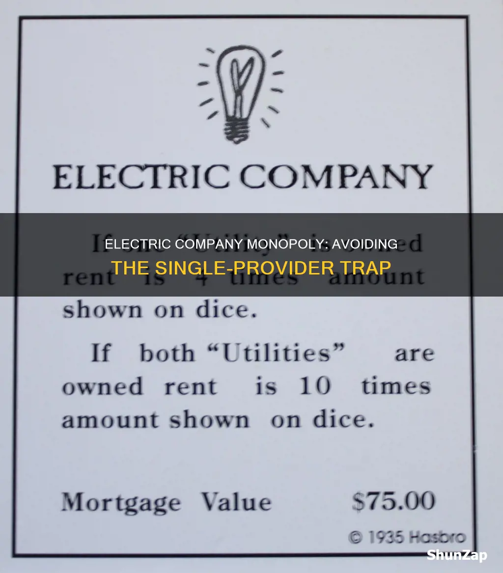 how is only one electric company not monopoly