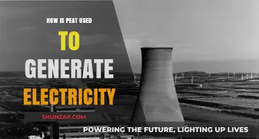 Peat Power: How This Organic Fuel Generates Electricity Sustainably