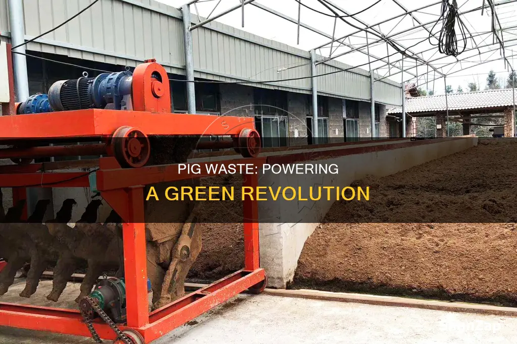 how is pig feces converted to electricity