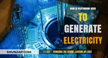 Harnessing Plutonium: Powering Electricity Generation in Nuclear Reactors