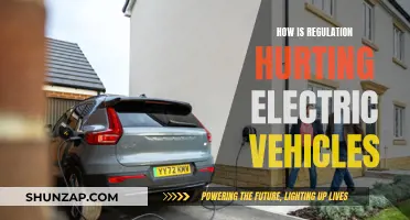 Regulations Stifle Electric Vehicle Innovation and Growth