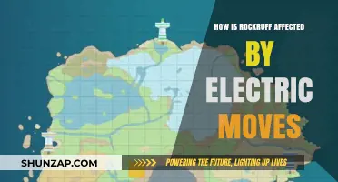 Rockruff's Electric Move Sensitivity: What's the Deal?