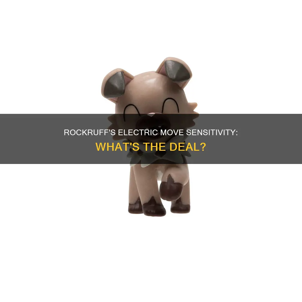 how is rockruff affected by electric moves