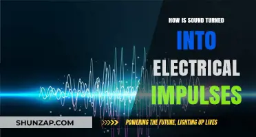 Sound Waves to Electrical Impulses: The Science Behind It