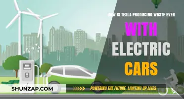 Tesla's Green Paradox: Electric Cars, Hidden Waste, and Sustainability Challenges