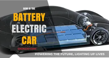 Exploring the Power and Performance of Battery Electric Vehicles