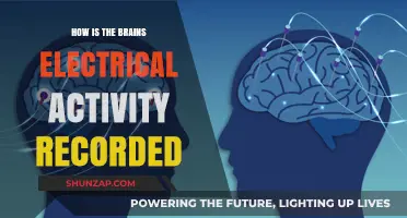 Brain's Electrical Activity: Methods of Recording and Analysis