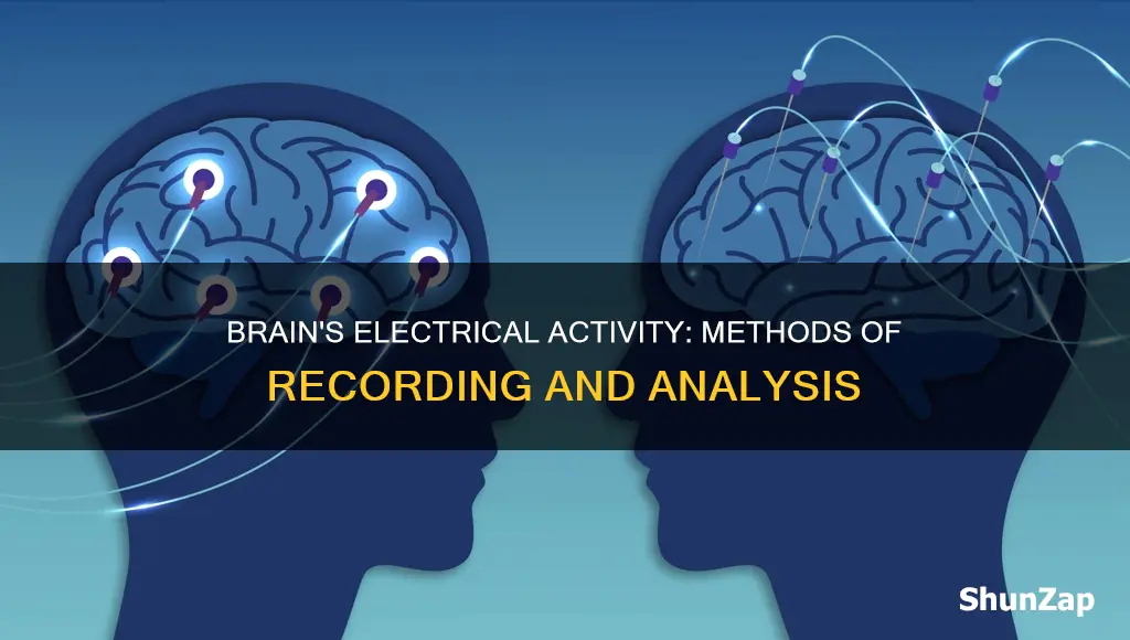how is the brains electrical activity recorded