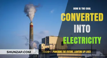 The Conversion of Coal to Electricity: A Complex Process