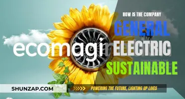 General Electric's Sustainability Strategies: A Comprehensive Overview