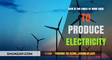Harnessing Wind Power: How Wind Force Generates Electricity
