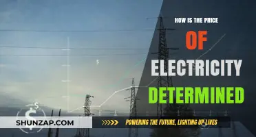 Electricity Pricing: Factors and Variables