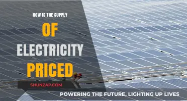 Electricity Pricing: Understanding Supply Costs
