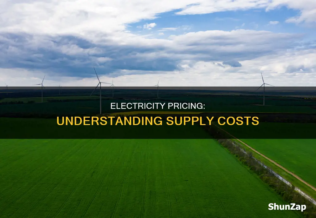 how is the supply of electricity priced