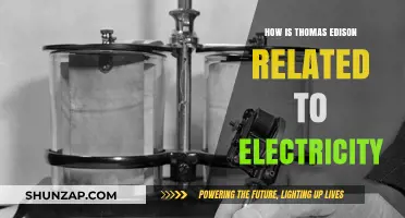 Edison's Electric Legacy: A Historical Perspective