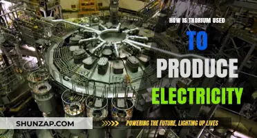 Thorium's Role in Clean Energy: Powering Electricity Generation