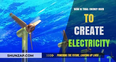 Harnessing Ocean Power: How Tidal Energy Generates Electricity