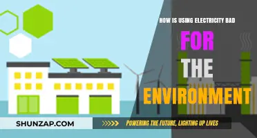 Electricity's Environmental Impact: Uncovering the Hidden Costs of Power