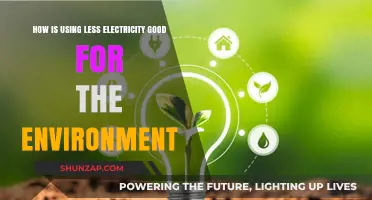 Cutting Electricity Use: A Simple Way to Protect Our Planet