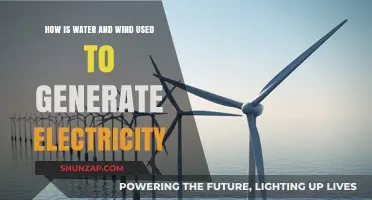 Harnessing Nature's Power: How Water and Wind Generate Electricity