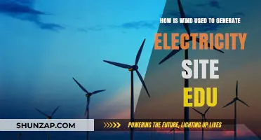 Harnessing Wind Power: How Turbines Generate Electricity for Sustainable Energy