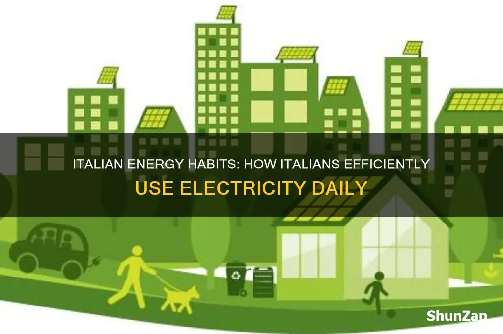 how italians use electricity