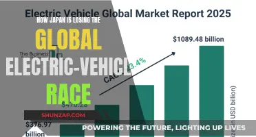 Japan's EV Slowdown: Missing the Global Charge?