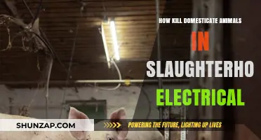 The Humane Way: Electric Slaughter for Domesticated Animals