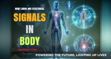 Body's Electrical Signals: How Strong Are They?