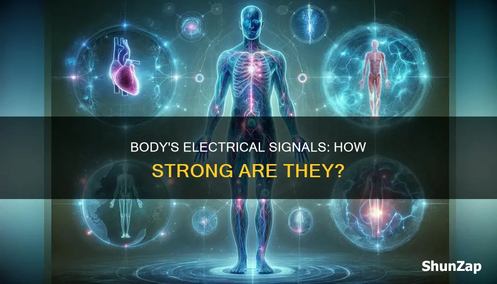 how large are electrical signals in body