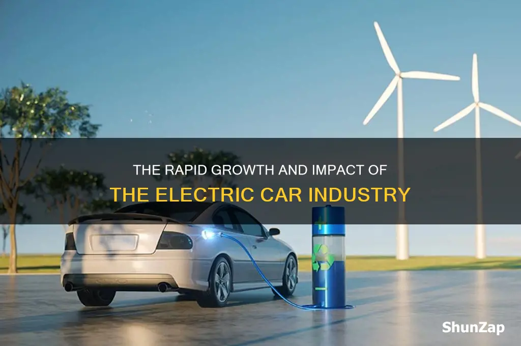 how large electric car industry