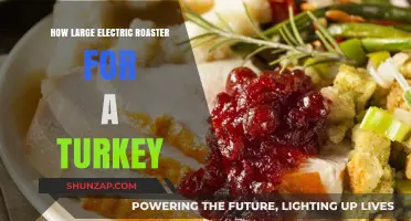 Electric Roaster Capacity for a Turkey Feast