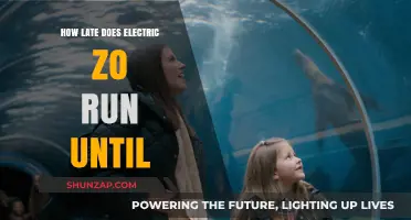Last-Minute Electric Zo Rides: Operating Hours Explored