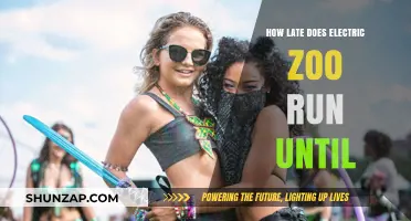 Electric Zoo: Partying Late into the Night