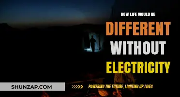 Life Without Electricity: A Dark and Quiet World