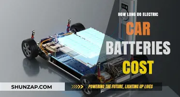 Electric Car Battery Lifespan and Replacement Costs Explained