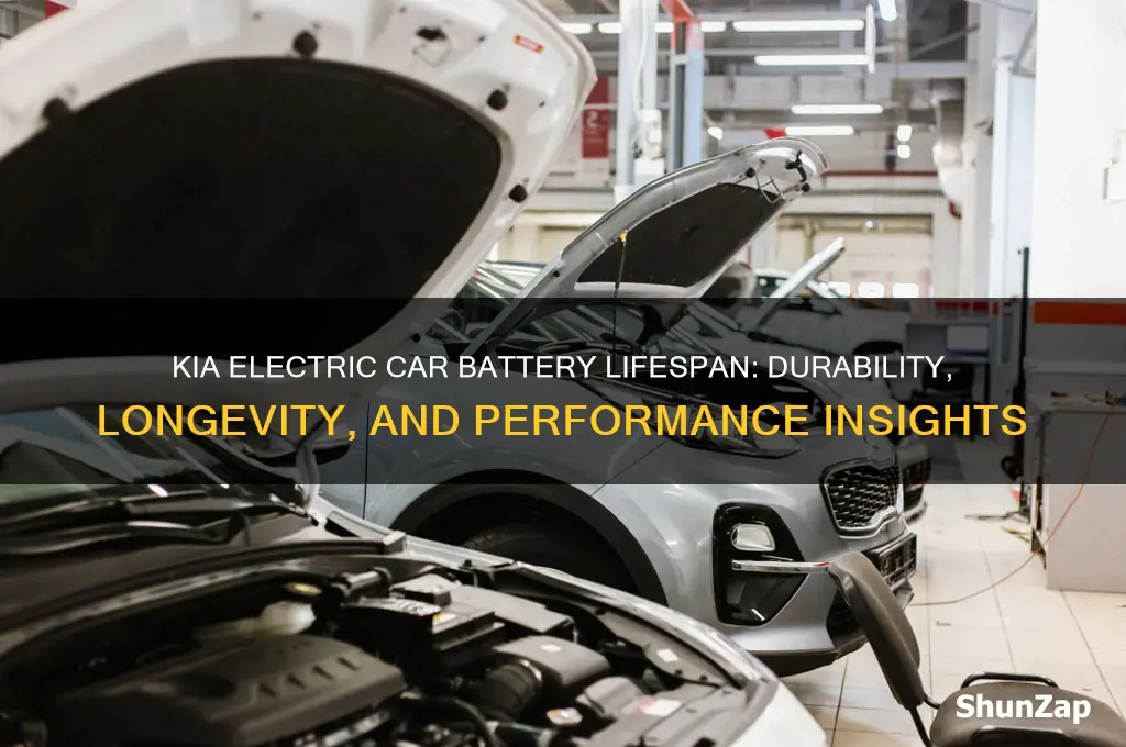 how long do kia electric car batteries last