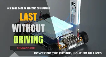 Electric Car Battery Lifespan: How Long Without Driving?