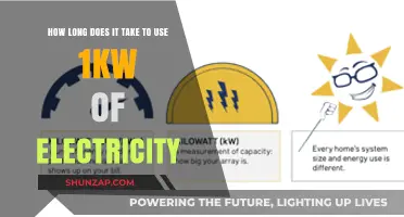 Understanding Electricity Usage: Time to Consume 1kW of Power