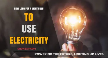 Understanding Light Bulb Electricity Consumption: Time and Usage Explained