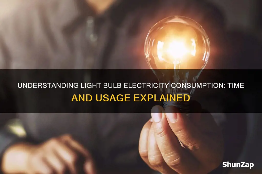 how long for a light bulb to use electricity