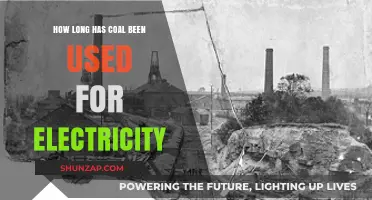 Coal's Enduring Role: Powering Electricity for Centuries