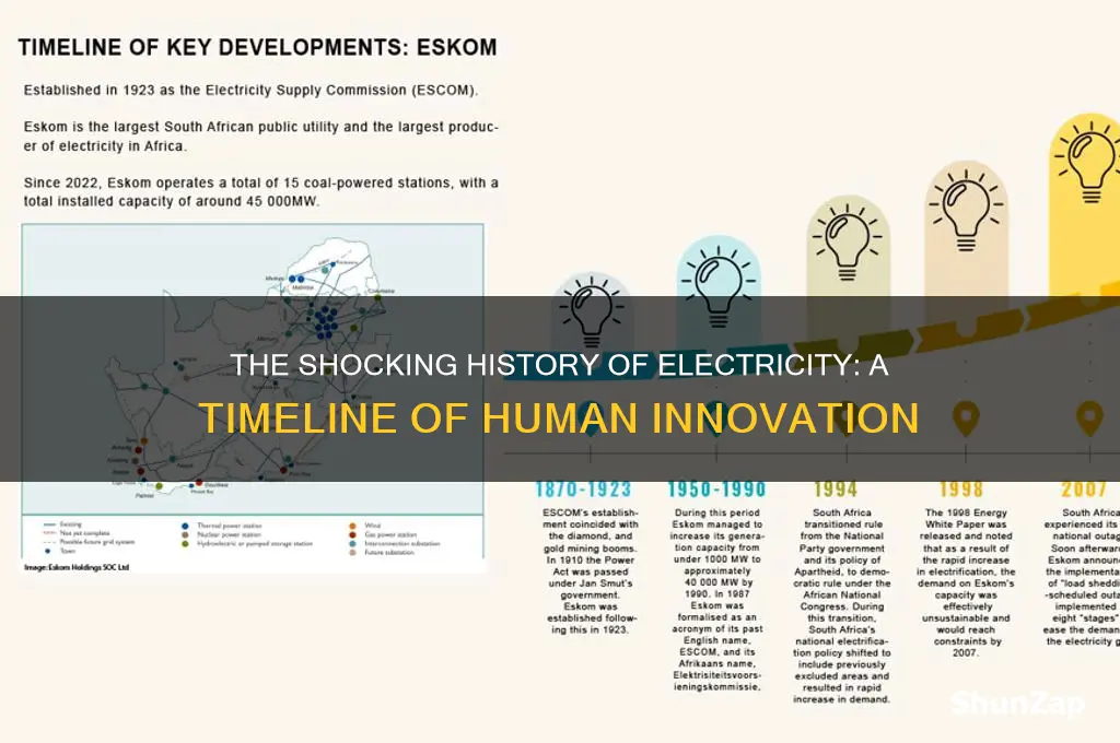how long have we been using electricity