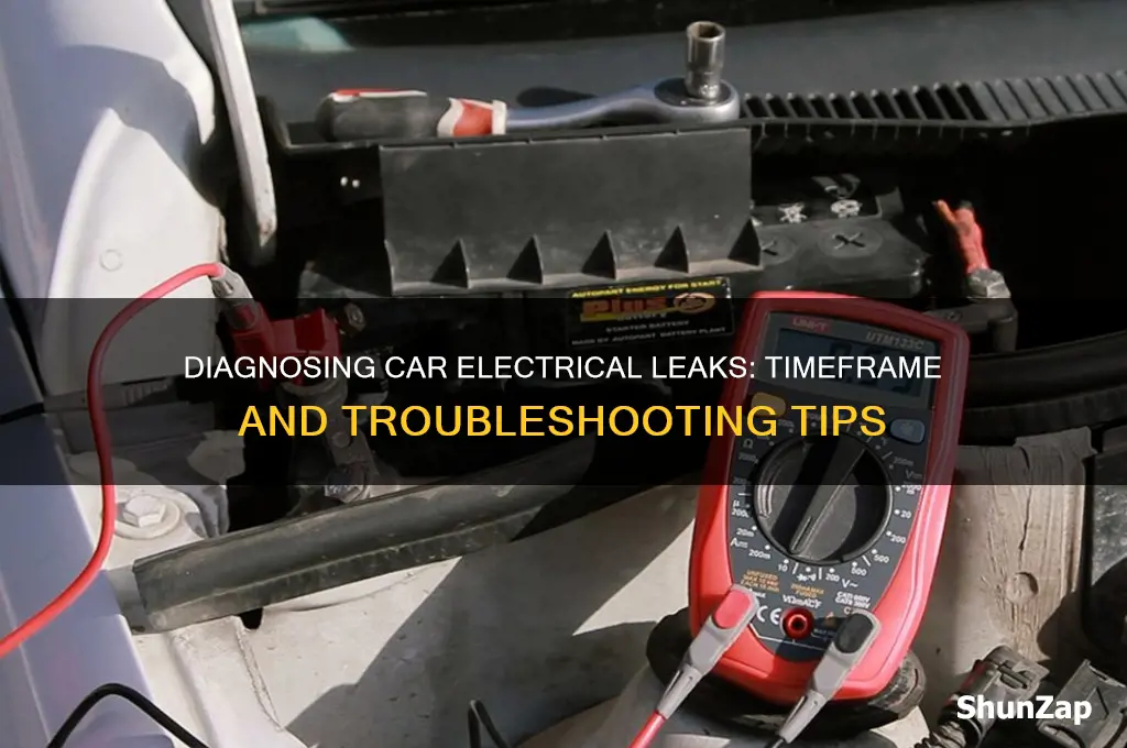 how long to find leak in car electrical system