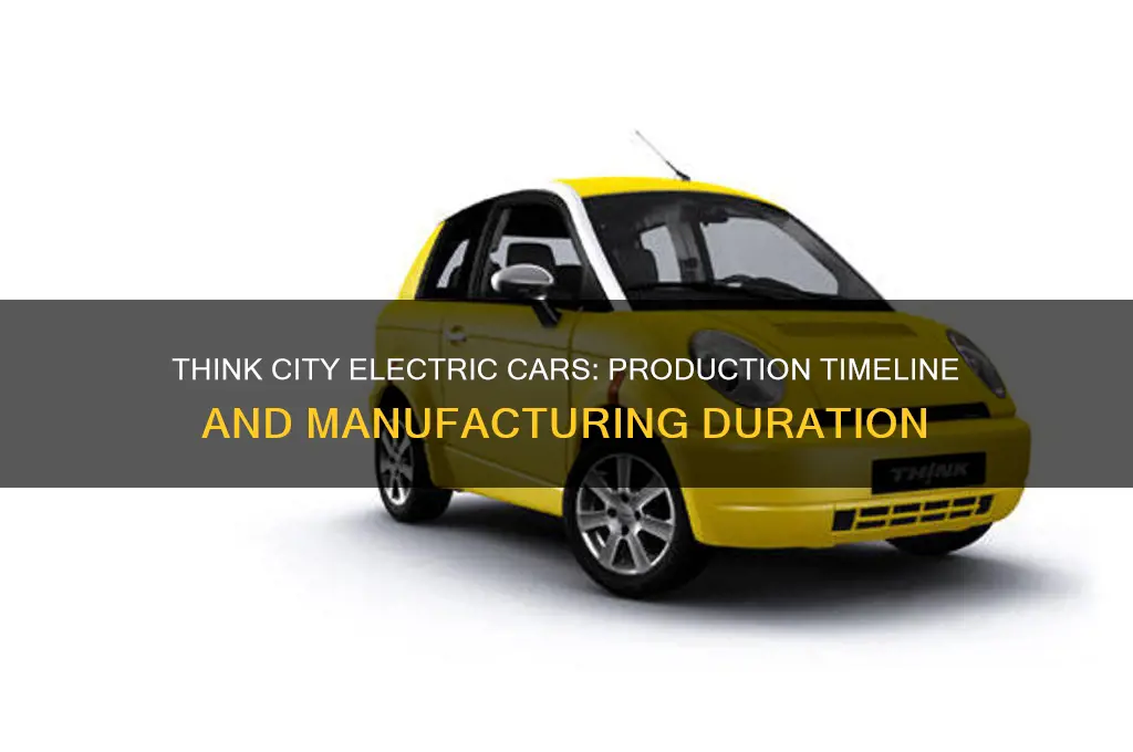 how long were the think city electric cars made