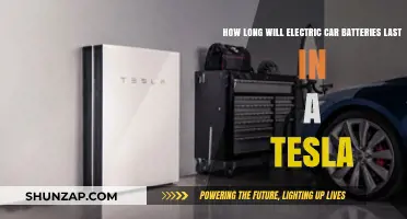 Tesla Electric Car Battery Lifespan: Durability and Longevity Explained