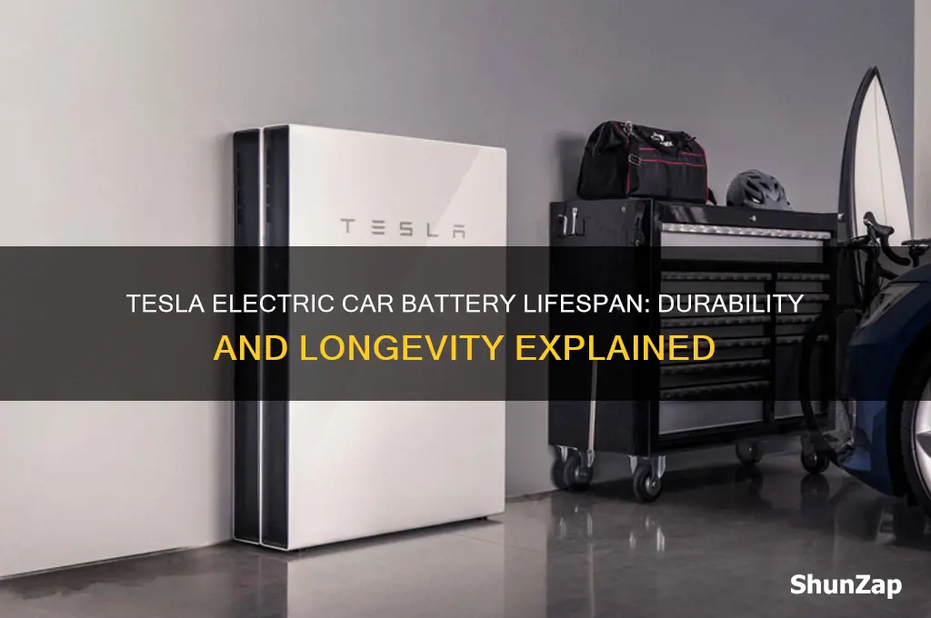 how long will electric car batteries last in a tesla